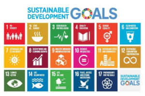 Read more about the article Implementing the Sustainable Development Goals